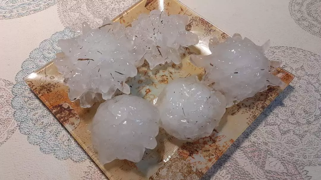 FB_IMG_1674810449232