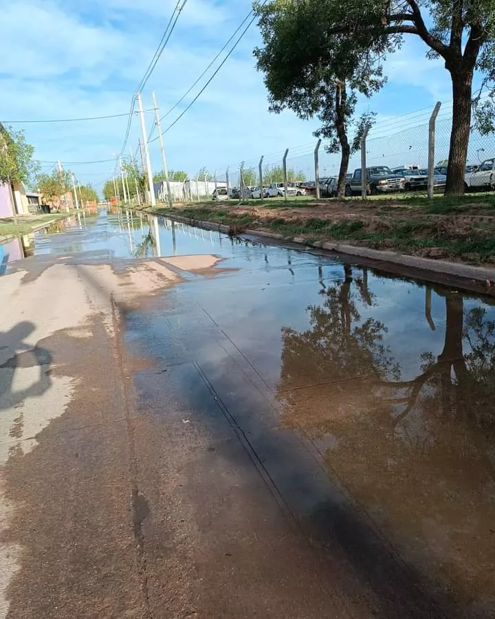 facebook_1678471507545_7040019757987728426