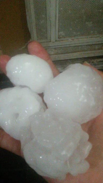 FB_IMG_1674810475592