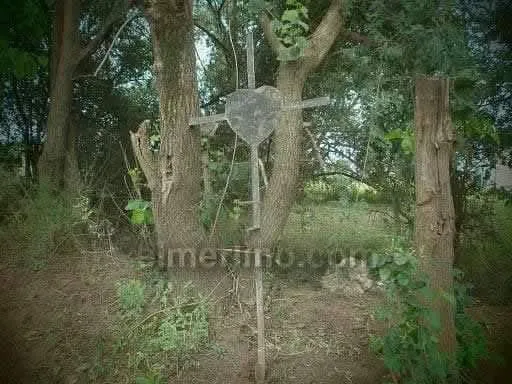 FB_IMG_1739182914330