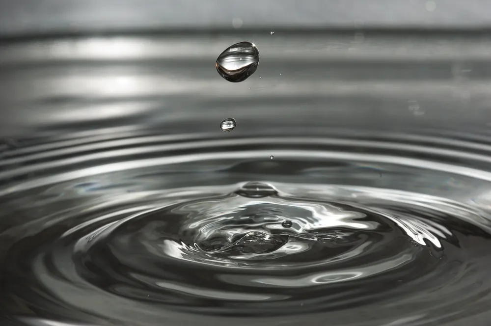 claudiawollesen-water-921067