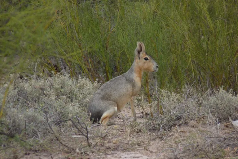 9f1e03aa-e84d-4faf-9def-d90295966261-768x512