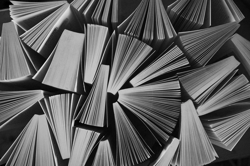 mirkostoedter-library-7720589