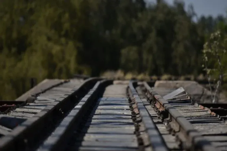 trenes2024