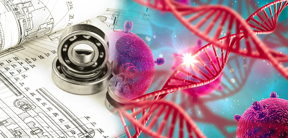 ciencia2024-3