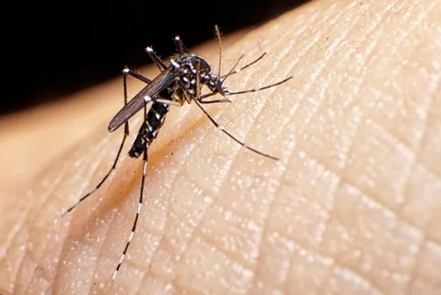 Dengue-2-1